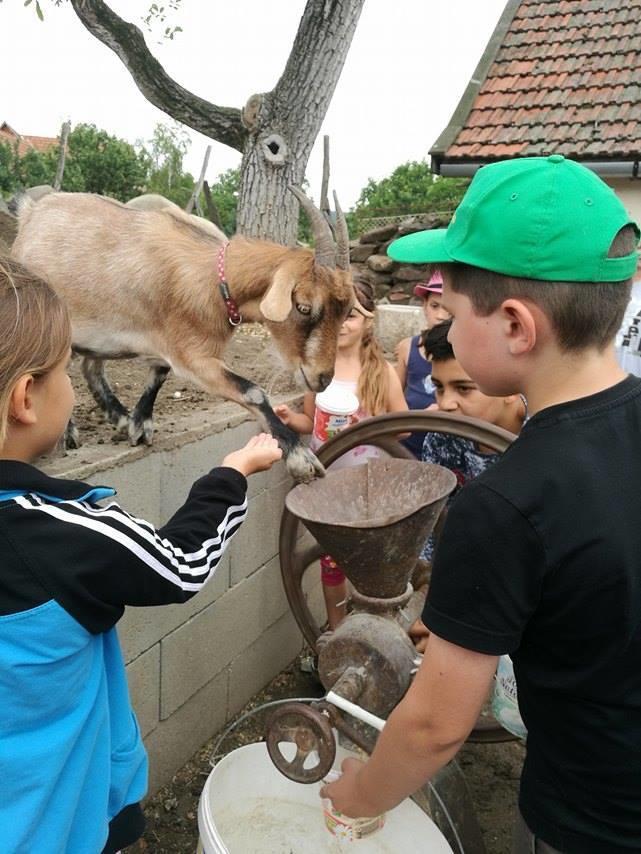 Hotel Bari Tanya Kisnána Zewnętrze zdjęcie